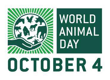 Október 4-e az Állatok világnapja.
